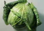 Easiest Cabbage Salad Recipe You'll Ever Make! was pinched from <a href="http://www.healthyfoodmind.com/easiest-cabbage-salad-recipe-youll-ever-make/" target="_blank">www.healthyfoodmind.com.</a>