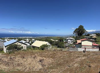 terrain à Saint Pierre (974)