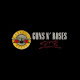 Guns N’ Roses New Tab