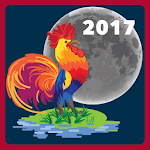 Lunar Calendar Apk