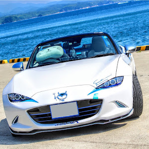 ロードスター ND5RC