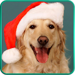 Christmas Dogs Live Wallpaper Apk