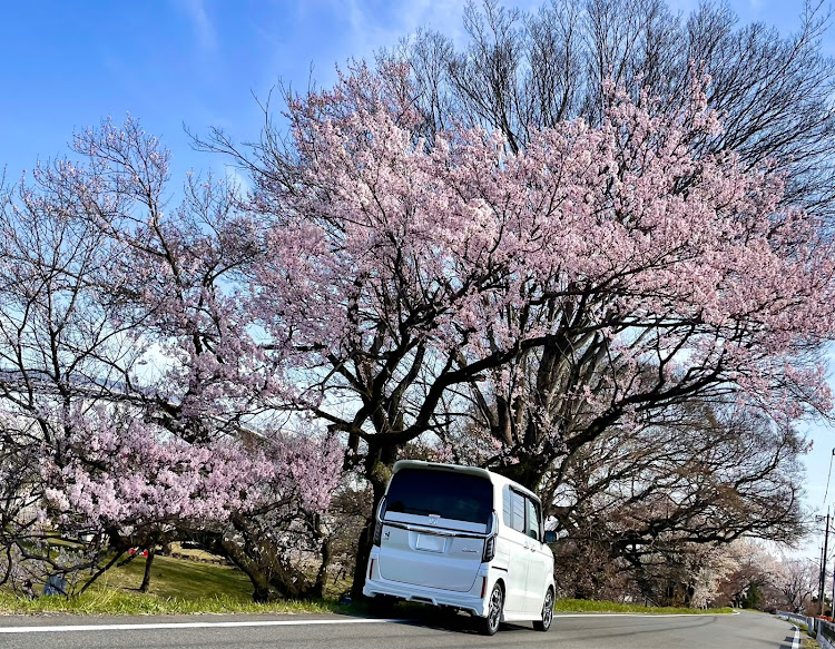 の投稿画像2枚目