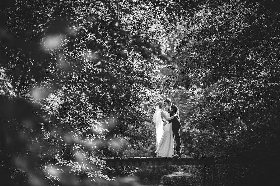 Fotógrafo de casamento Feri Bologa (bologa). Foto de 19 de setembro 2016