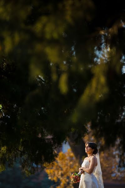 結婚式の写真家Suren Khachatryan (dvstudio)。2015 1月12日の写真