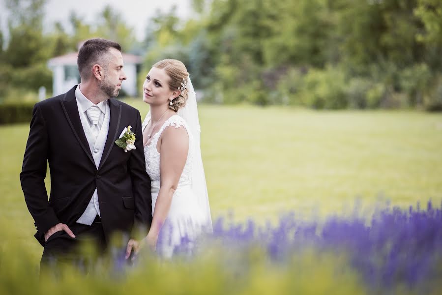 Wedding photographer Dániel Sziszik (sziszikzs). Photo of 26 July 2018