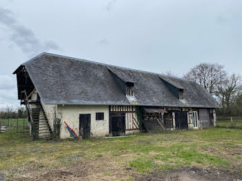 ferme à Branville (14)