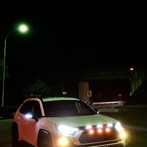 RAV4 MXAA54