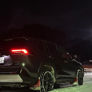 RAV4 AXAH54