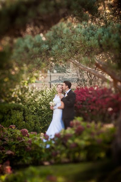 Hochzeitsfotograf Denis Aliferenko (alifer). Foto vom 3. Februar 2016