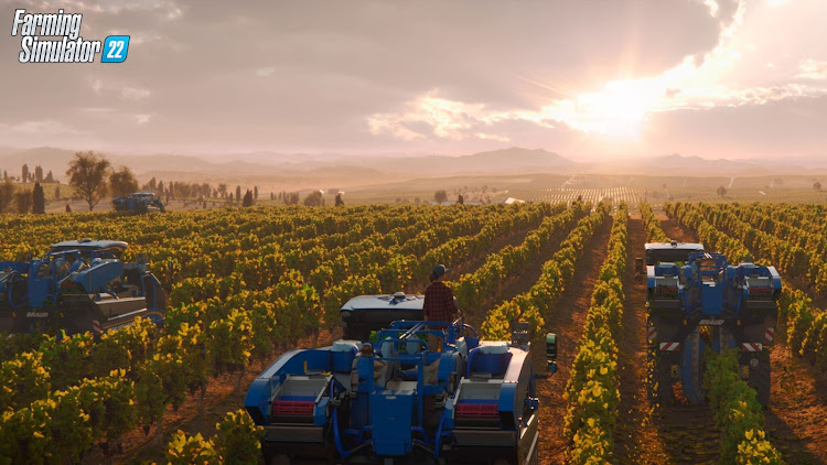 Sticking the tractor into a nicely paced cruise control and dropping the cultivator into the ground, listening to the radio while the sun rays shine down upon your hard work; it’s just satisfying.