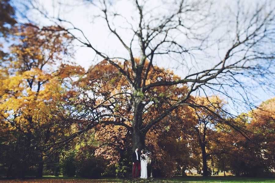 Photographe de mariage Sergey Narevskikh (narevskih). Photo du 17 octobre 2013