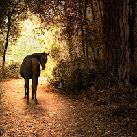 autumn tale di Daniela Ghezzi