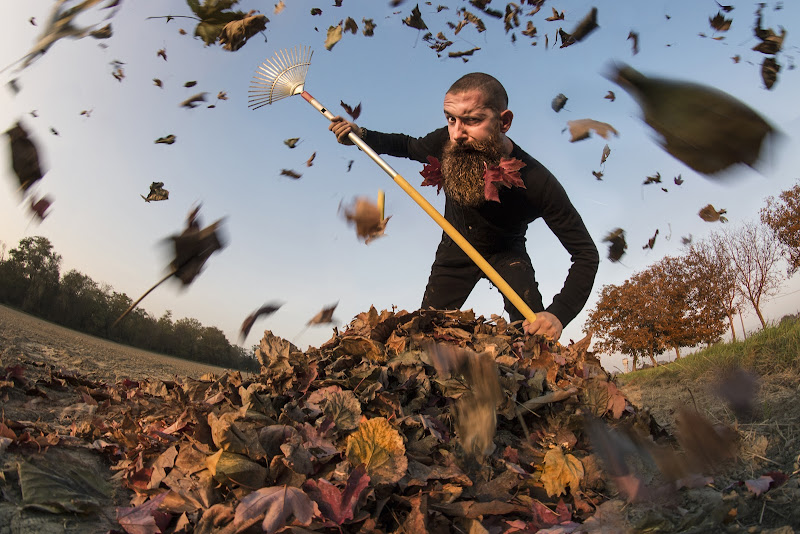 il ragazzo di campagna di Madison