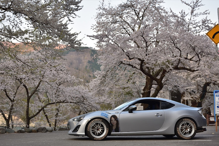 86の国道156号・桜×愛車に関するカスタム事例の投稿画像4枚目