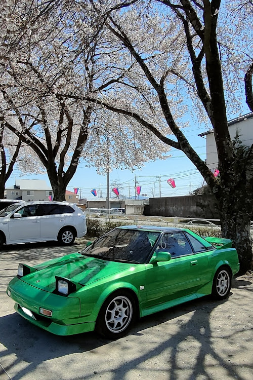 MR2の毎月8日はリトラの日・毎月11日はAW11の日・No Retra,No Life❗️・4月もよろしくお願い致します🌸・桜とコラボに関するカスタム事例の投稿画像2枚目