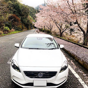 V40