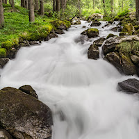 Torrente alpino di 