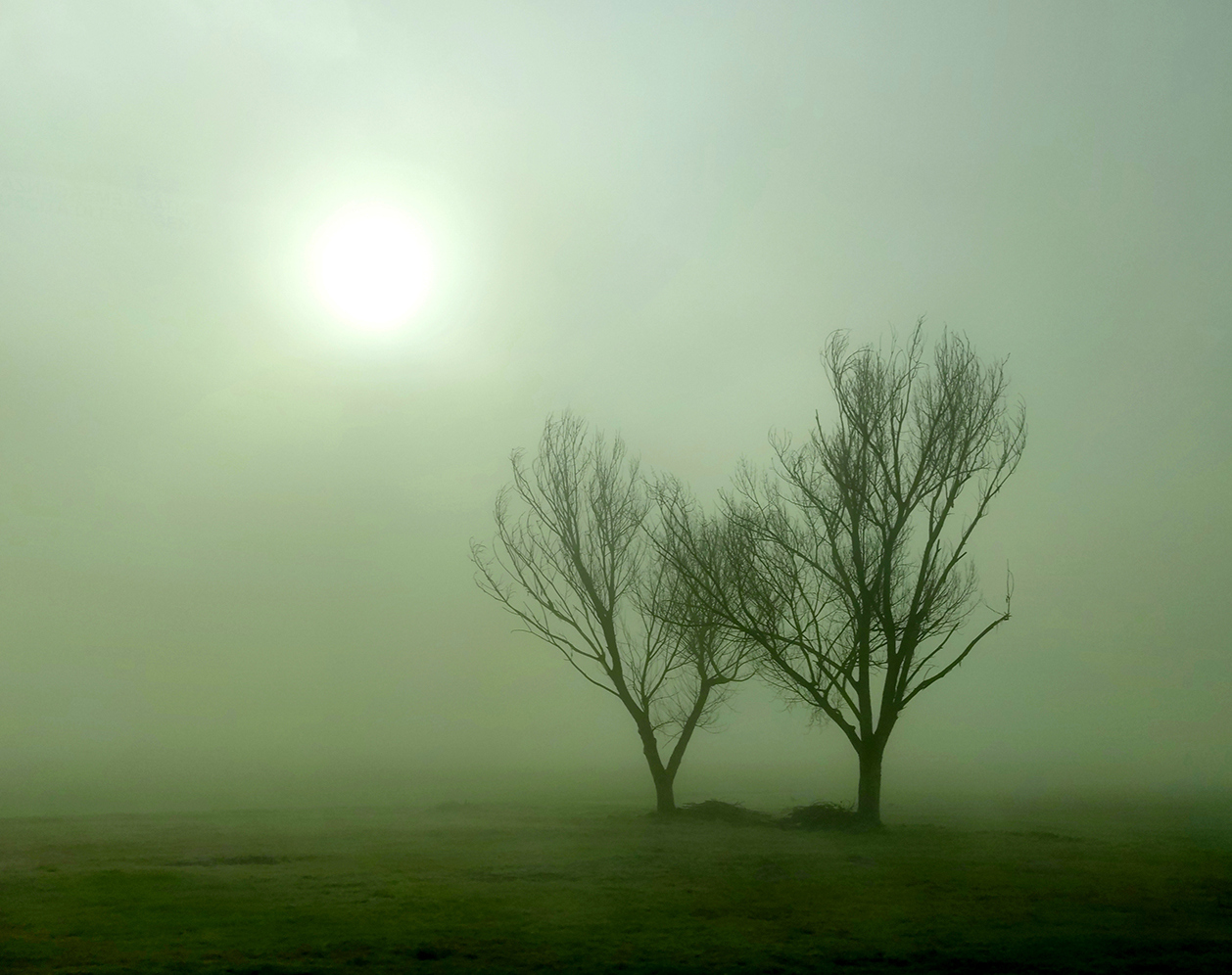 Alba ad Occhiobello di PaoloRd