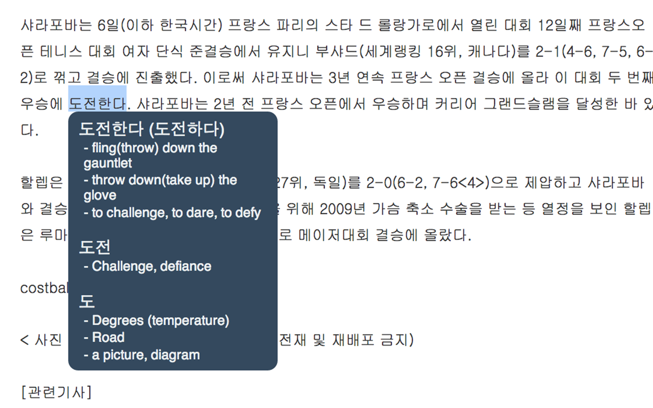 Toktogi: A Korean-English Popup Dictionary Preview image 3