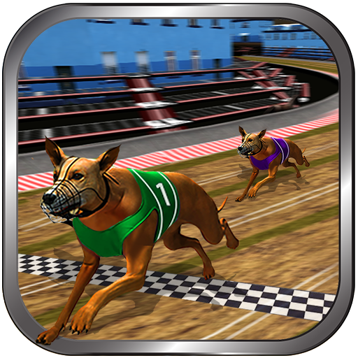 Crazy Real Dog Race Greyhound Racing Game