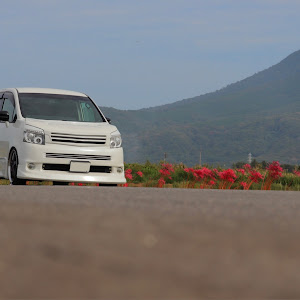 ヴォクシー ZRR70W