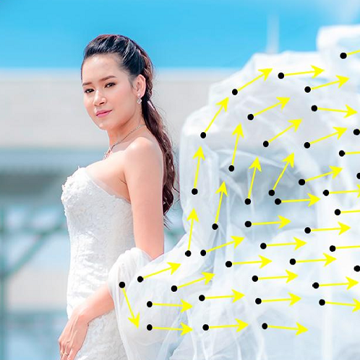 Moving Pictures - Motion Picture  Moving Effect