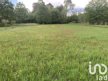 terrain à Pruniers-en-Sologne (41)