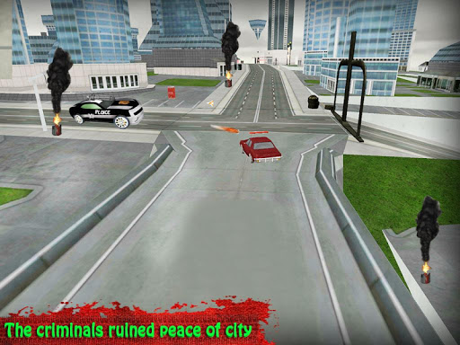 Highway Shooting Police Chase