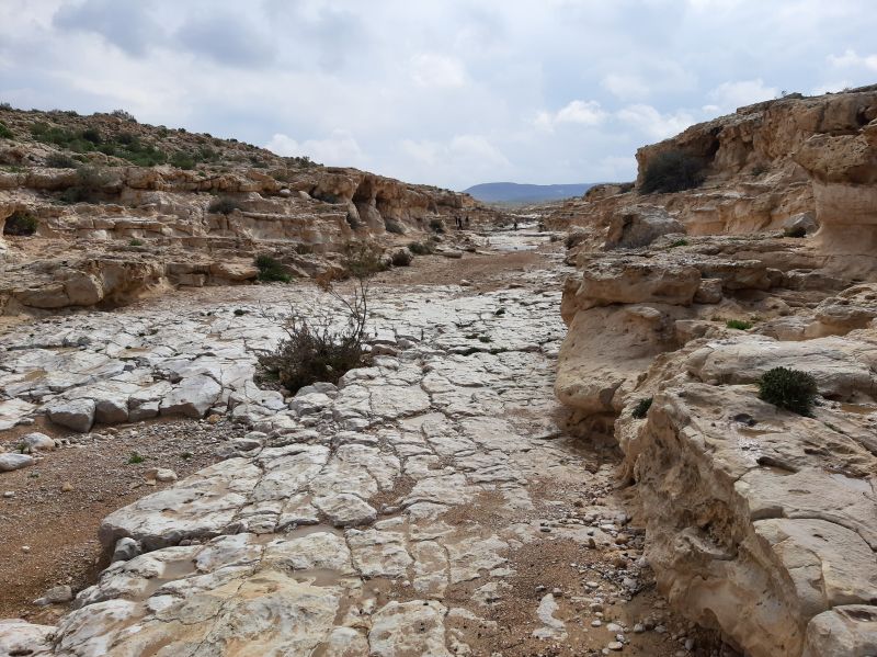 10 дней в Израиле в феврале: история, природа, отдых