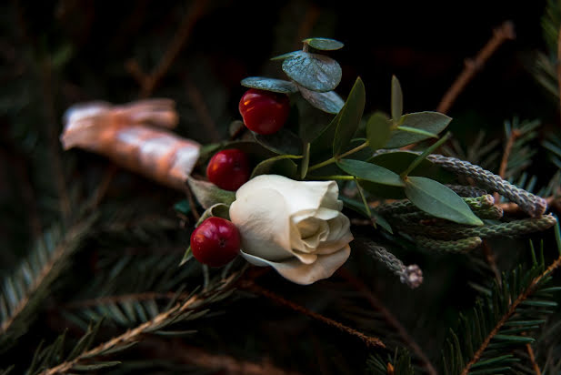 Fotógrafo de bodas Vladimir Ryabcev (vladimirrw). Foto del 30 de marzo 2017