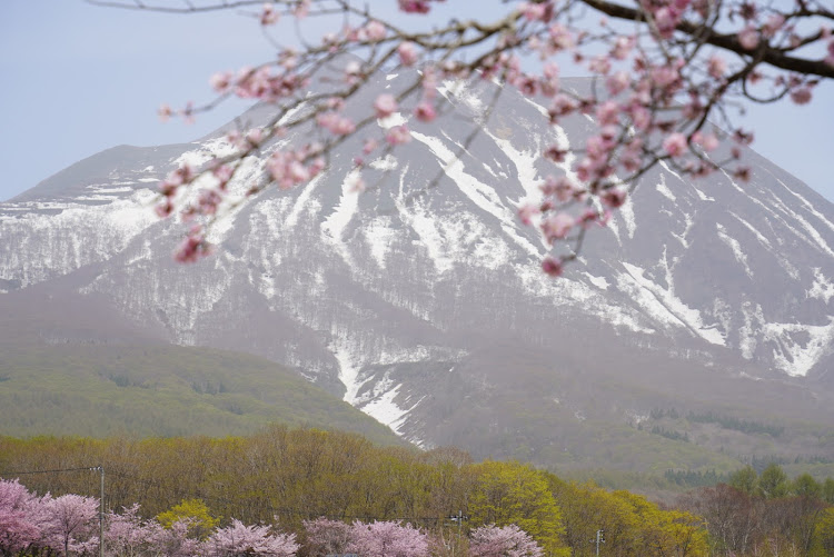 の投稿画像2枚目