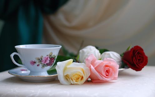 Rose Live Wallpaper (Wallpapers & Backgrounds) - náhled