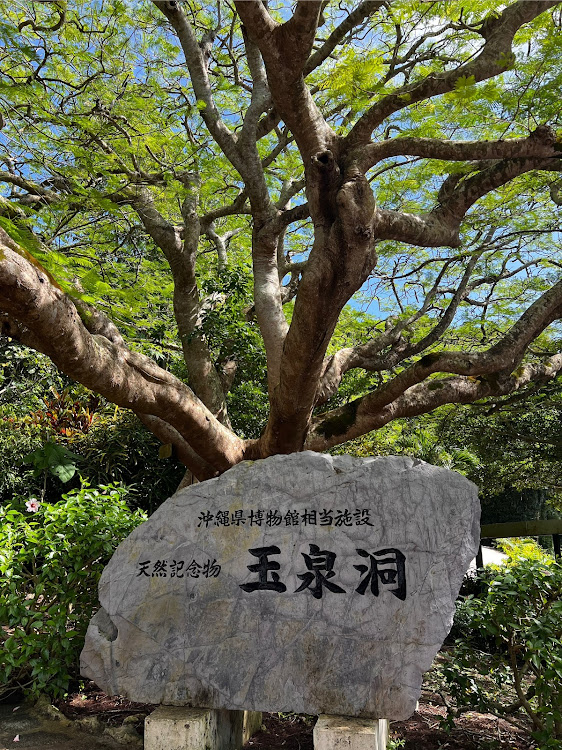 X7の沖縄旅行記に関するカスタム事例の投稿画像8枚目
