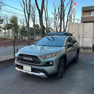 RAV4 MXAA54