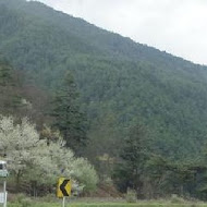 梨山賓館