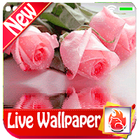 Pink Rose Live Wallpaper 2019 Pink Rose LWP