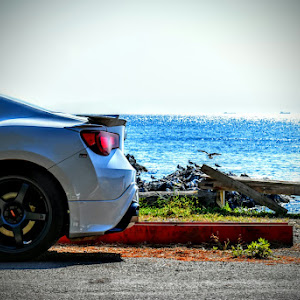 86 ZN6