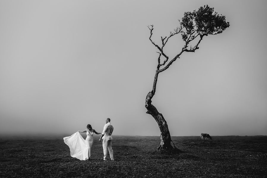 Fotógrafo de bodas Miguel Ponte (cmiguelponte). Foto del 16 de febrero 2020