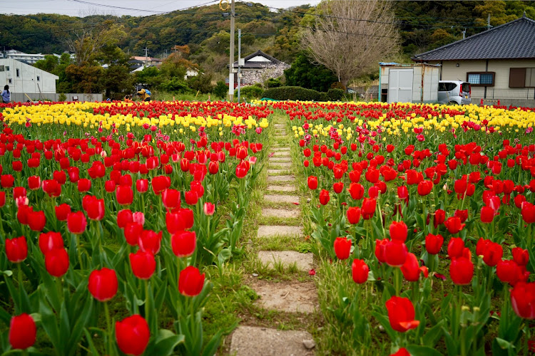 の投稿画像21枚目