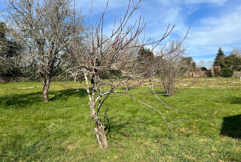  Vente Terrain à bâtir - à Baden (56870) 