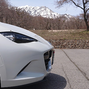 ロードスター ND5RC