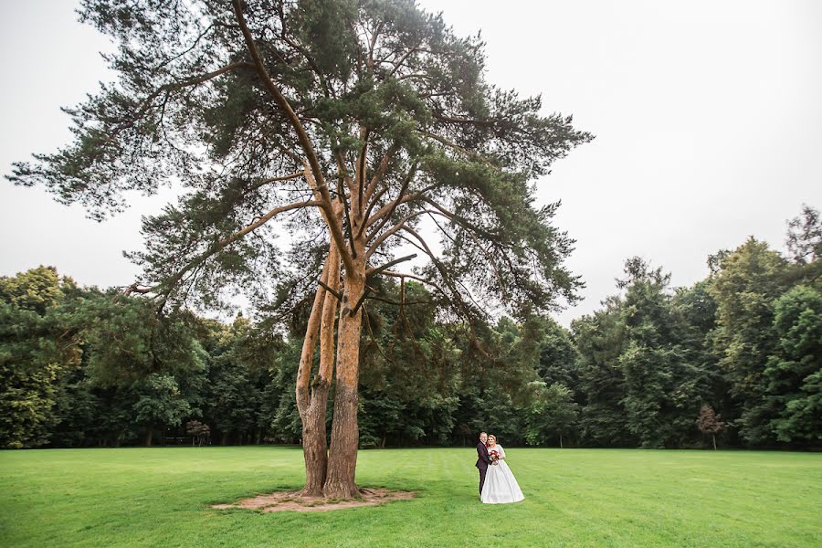 Wedding photographer Tatyana Burkina (burkinaphoto). Photo of 28 September 2017