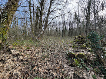 terrain à Saint-Symphorien-de-Marmagne (71)