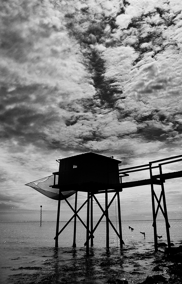 Notizie... dal cielo. di Orione