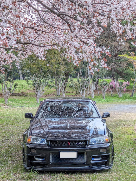 スカイラインのサクラと愛車・桜・桜コラボ・ER34に関するカスタム事例の投稿画像1枚目