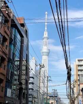 「スカイツリー🗼見た！」のメインビジュアル