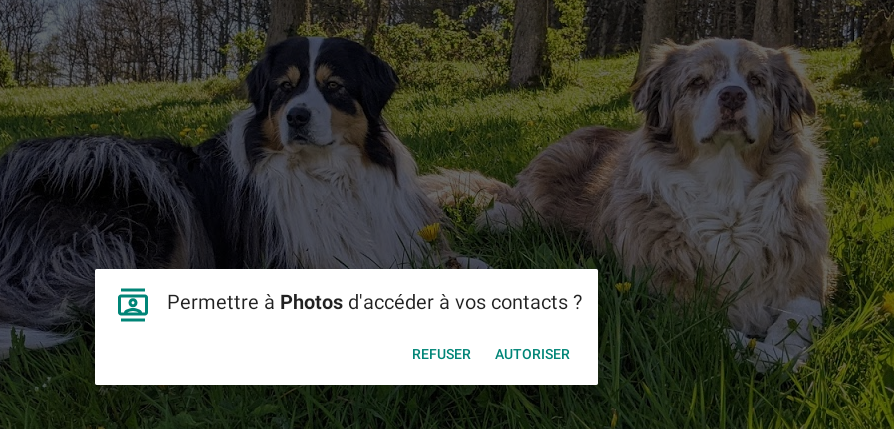 Savoir partager photos et vidéos