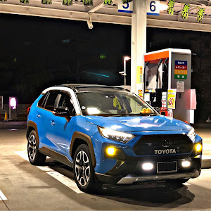 RAV4 MXAA54