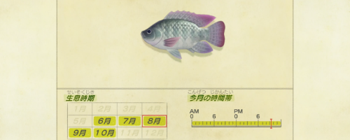 最速 あつ森 たいの値段